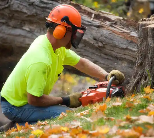 tree services Landen